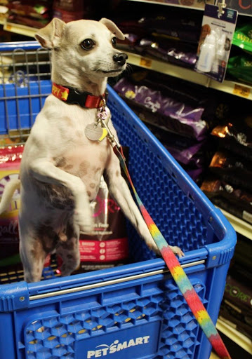 Pet Supply Store «PetSmart», reviews and photos, 2440 E Charleston Rd, Mountain View, CA 94043, USA