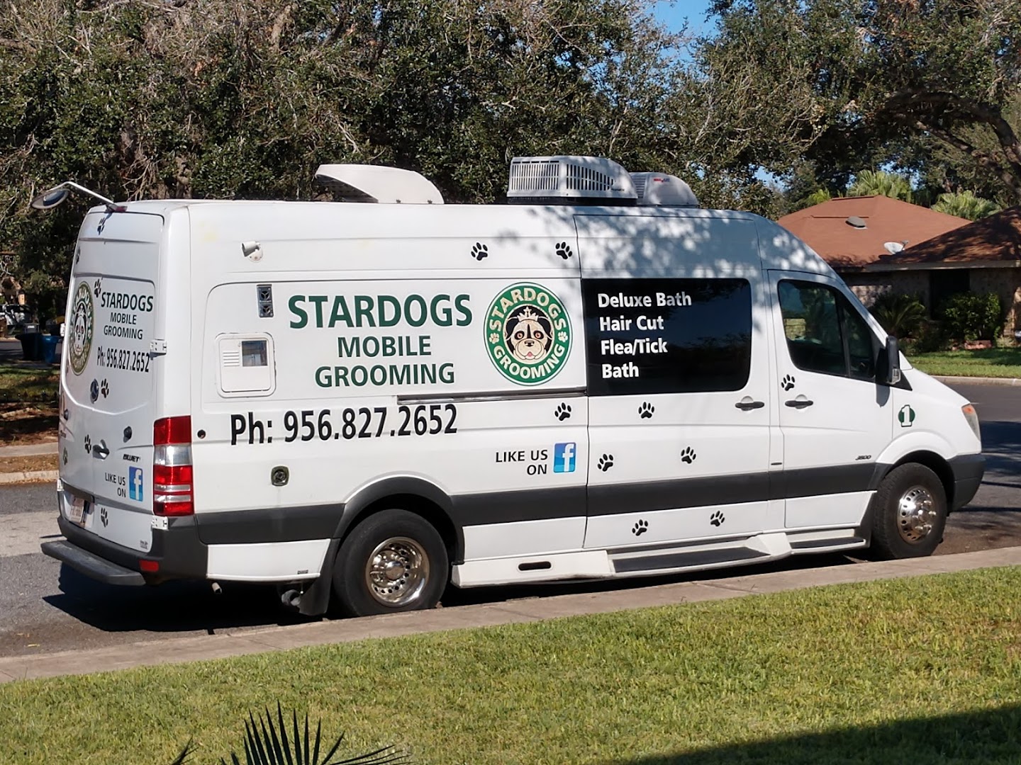 Stardogs mobile grooming