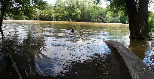 Park «Lou Berliner Park», reviews and photos, 1300 Deckenbach Rd, Columbus, OH 43223, USA