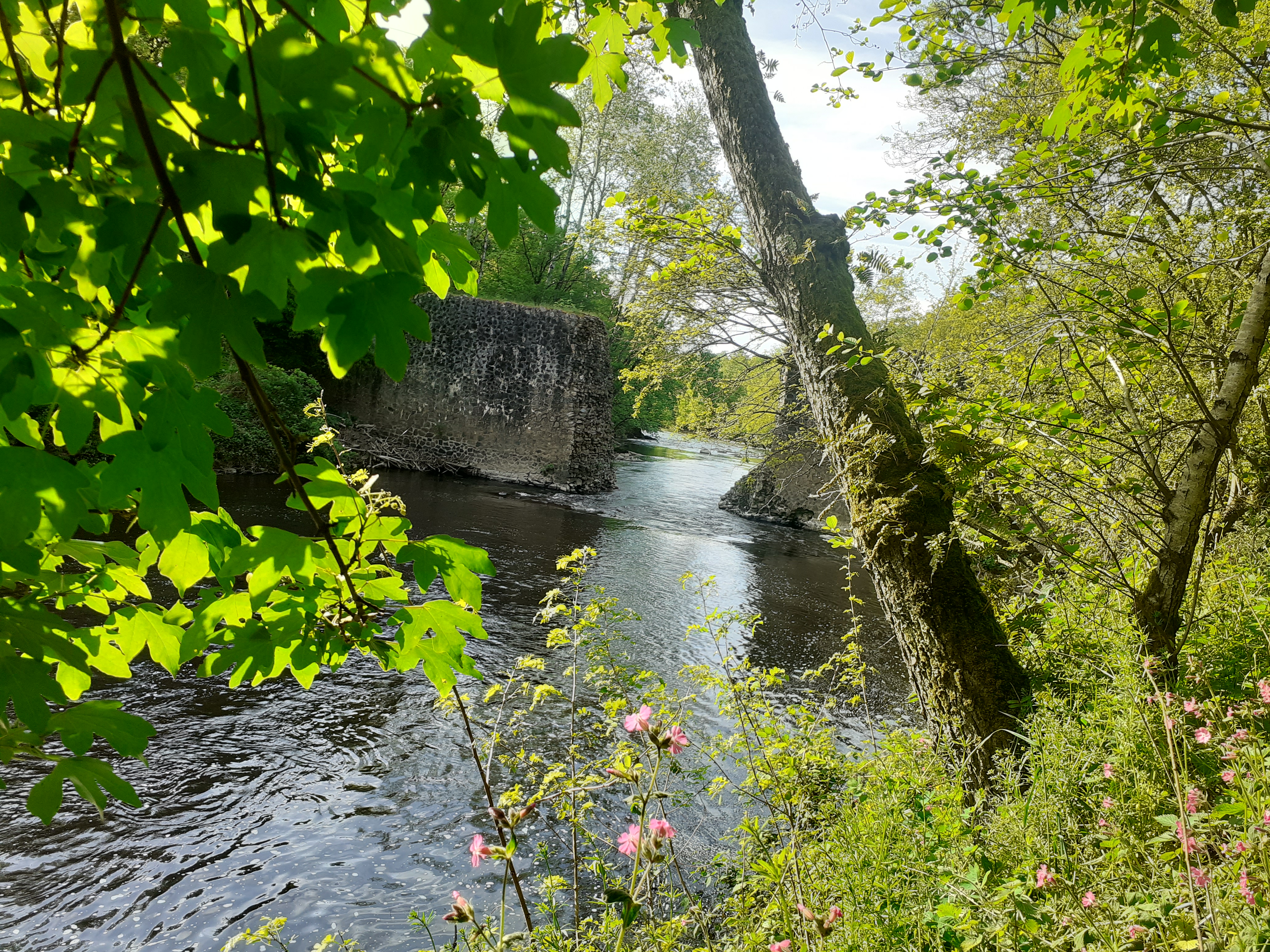 Photo n° 1 de l'avis de christophe.a fait le 25/06/2023 à 19:43