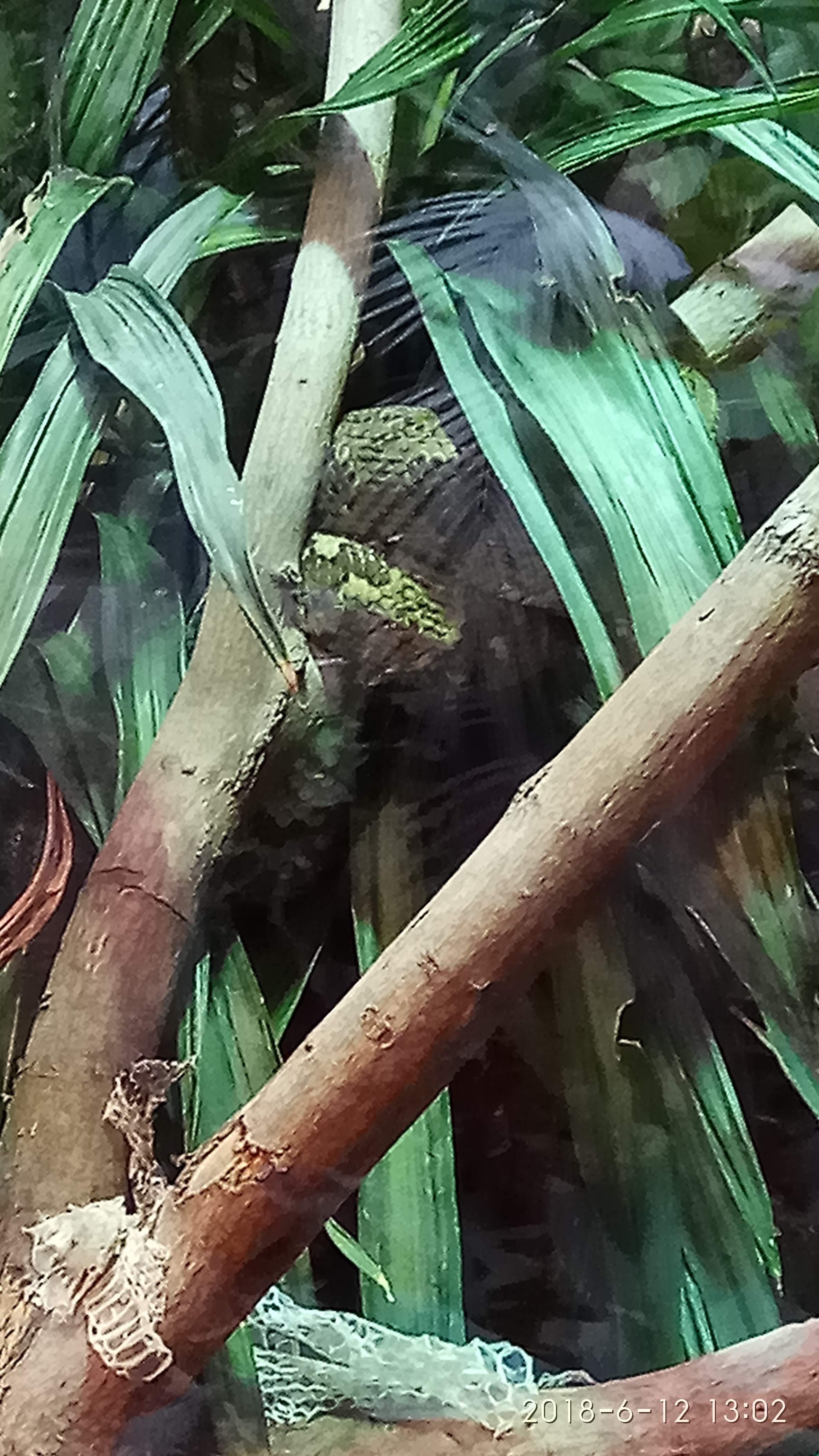 Photo n° 27 de l'avis de Swiss.e fait le 15/06/2018 à 19:24