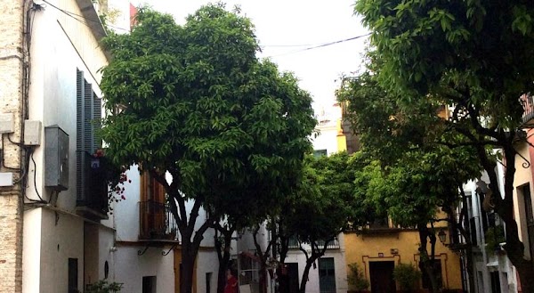 Pension Vergara