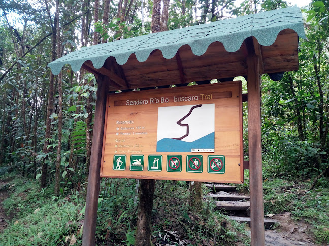 Opiniones de Parque Nacional Podocarpus en Zamora - Camping