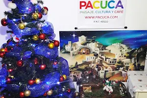 PACUCA Paisaje, Cultura y Café image