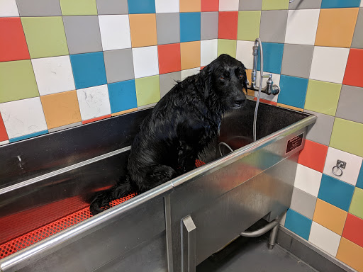 Pet Supply Store «Unleashed by Petco», reviews and photos, 515 El Camino Real #120, Menlo Park, CA 94025, USA