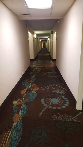Hampton Inn Los AngelesArcadiaPasadena image