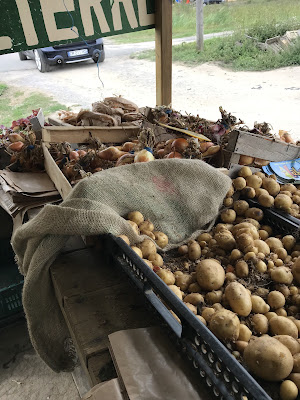 Producteur pommes de terre et légumes bios sur île de Noirmoutier à La Guérinière
