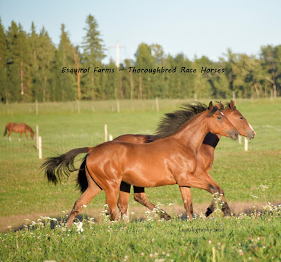 Esquirol Farms ~ Thoroughbred Race Horses