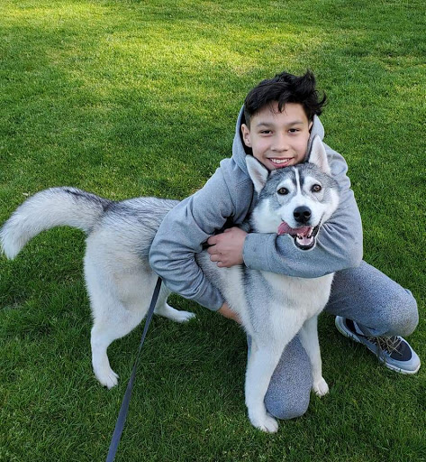 Dog Park «Hazeldale Park/ Dog park», reviews and photos, SW Farmington Rd, Aloha, OR 97007, USA