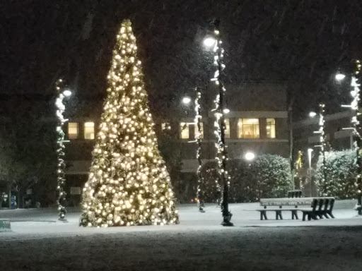 Movie Theater «Majestic 10», reviews and photos, 190 Boxwood St, Williston, VT 05495, USA