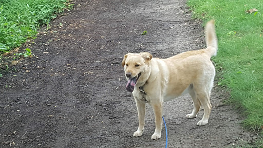 Park «Silverwood Park», reviews and photos, 2500 County Rd E, St Anthony, MN 55421, USA