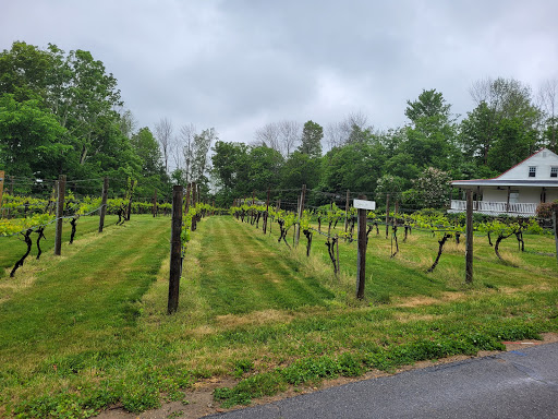 Winery «Gilmanton Winery and Restaurant», reviews and photos, 528 Meadow Pond Rd, Gilmanton, NH 03237, USA