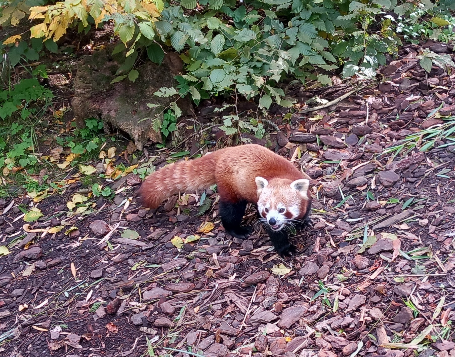 Photo n° 26 de l'avis de Julien.a fait le 11/10/2023 à 18:47