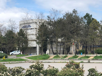 Uludağ Üniversitesi İktisadi ve İdari Bilimler Fakültesi Ekonometri Bölümü Ekonometri Anabilim Dalı