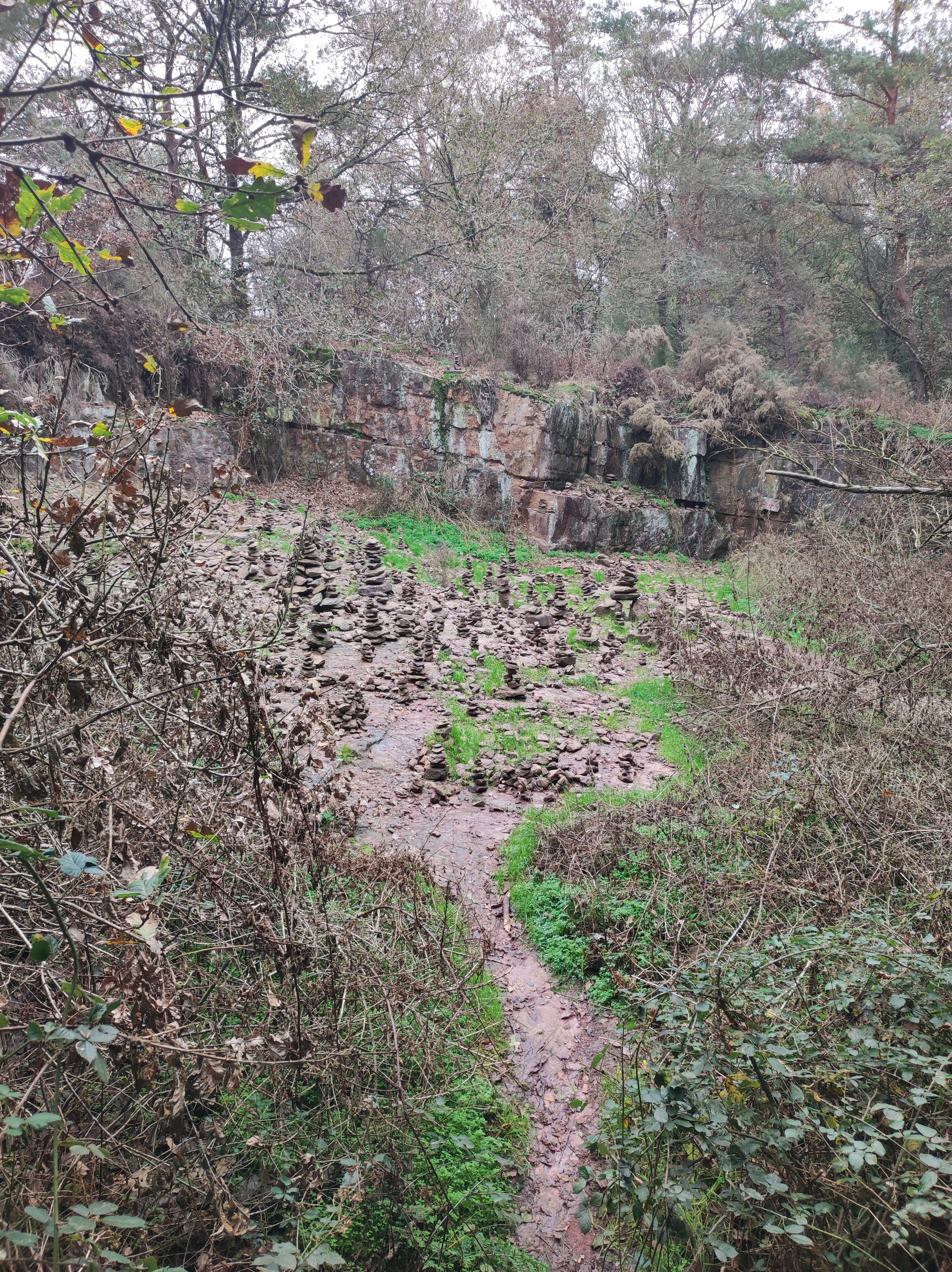 Photo n° 6 de l'avis de LaRenarde.o fait le 21/11/2022 à 08:21