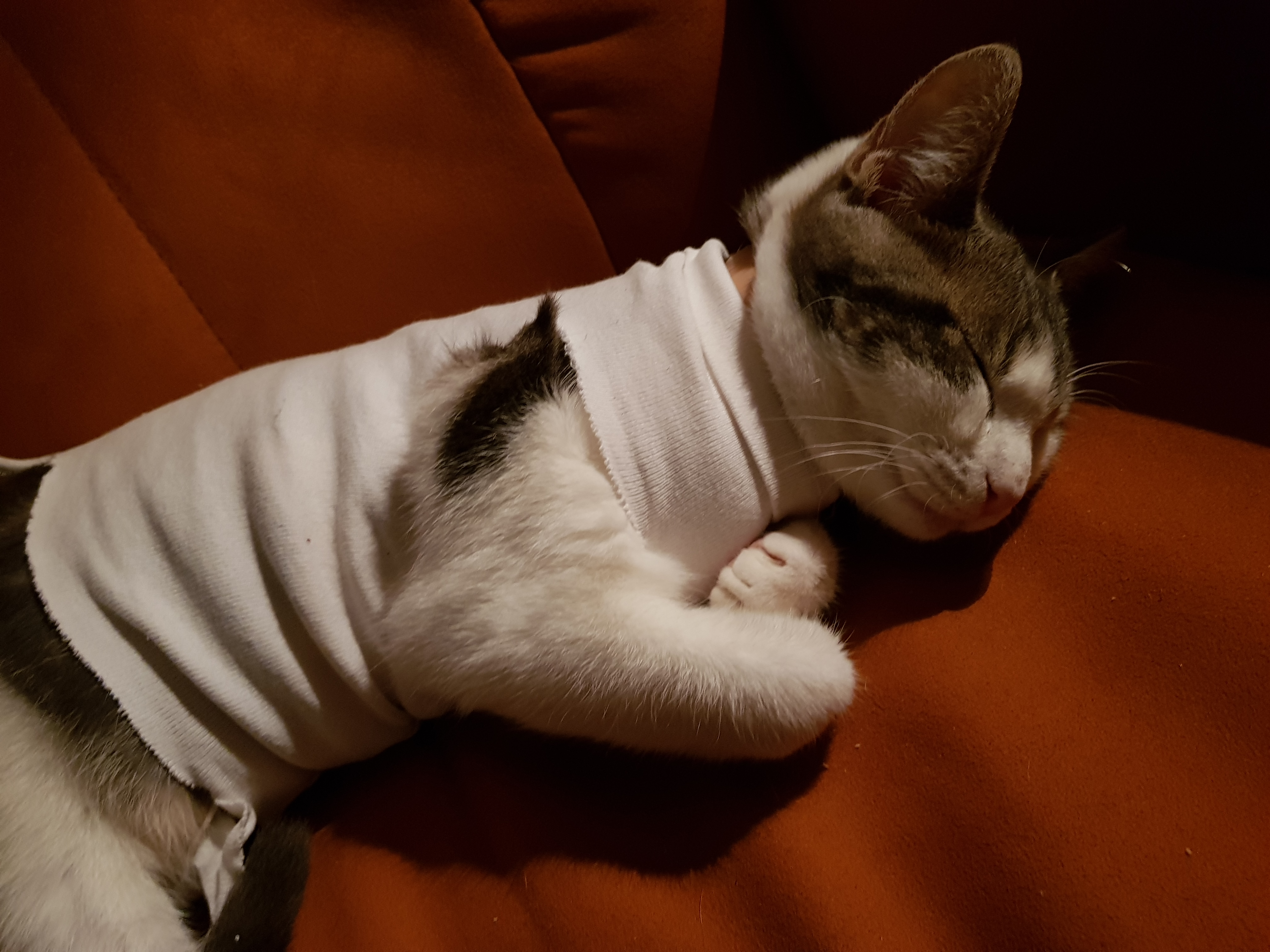 Photo n° 1 de l'avis de Dominique.h fait le 29/01/2020 à 22:00