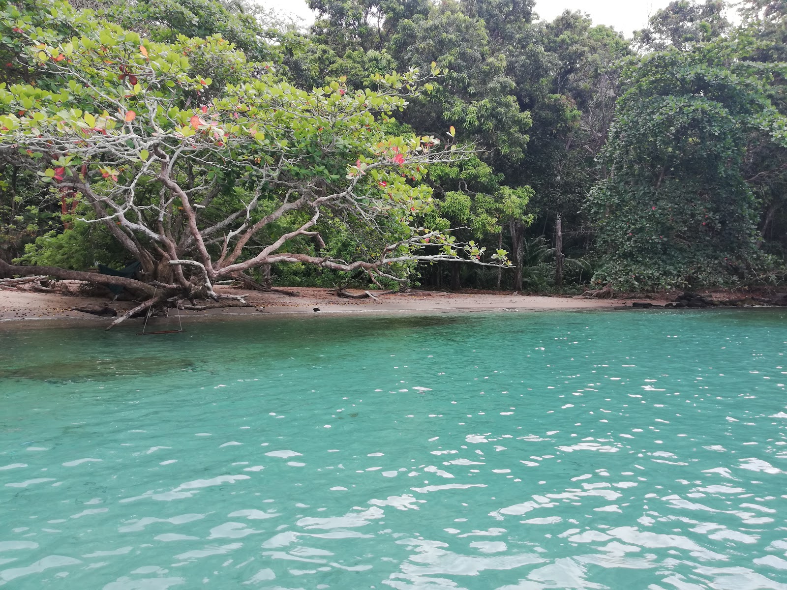 Photo of Huerta Portobelo Beach with turquoise pure water surface