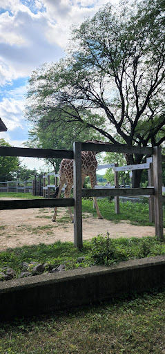 Zoo «Henry Vilas Zoo», reviews and photos, 702 S Randall Ave, Madison, WI 53715, USA
