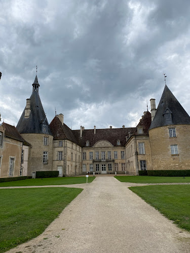 Les Sarments Santenay à Santenay