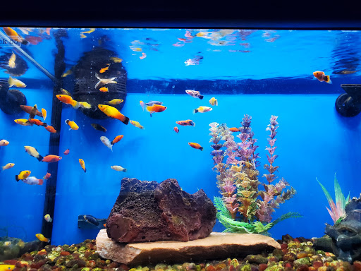 Pet Supply Store «Iowa Pet Foods & Seascapes», reviews and photos, 1500 22nd St, West Des Moines, IA 50266, USA