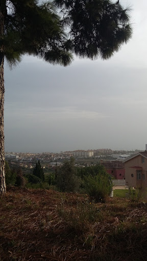 Funeraria San Bernabé S.L. en Málaga