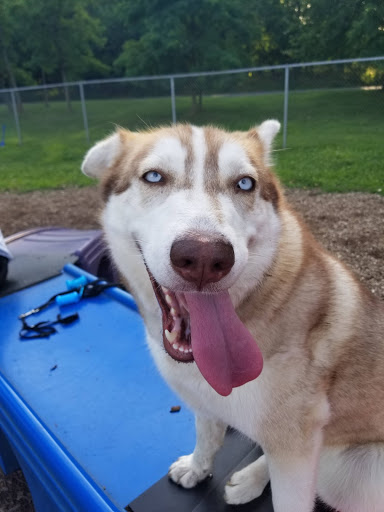 Memorial Park «Alvin P. Williams Memorial Park», reviews and photos, Port Reading Ave, Sewaren, NJ 07077, USA