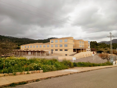 Colegio Público CP Ses Quarterades Carrer Quarterades, 0, 07184 Calvià, Illes Balears, España