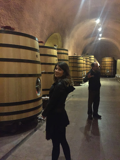 Travel Agency «Travel Leaders», reviews and photos, 1018 Spring Hill Ring Rd, West Dundee, IL 60118, USA