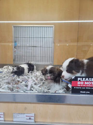 Pet Store «Animal Kingdom», reviews and photos, 5000 S Arizona Mills Cir, Tempe, AZ 85282, USA