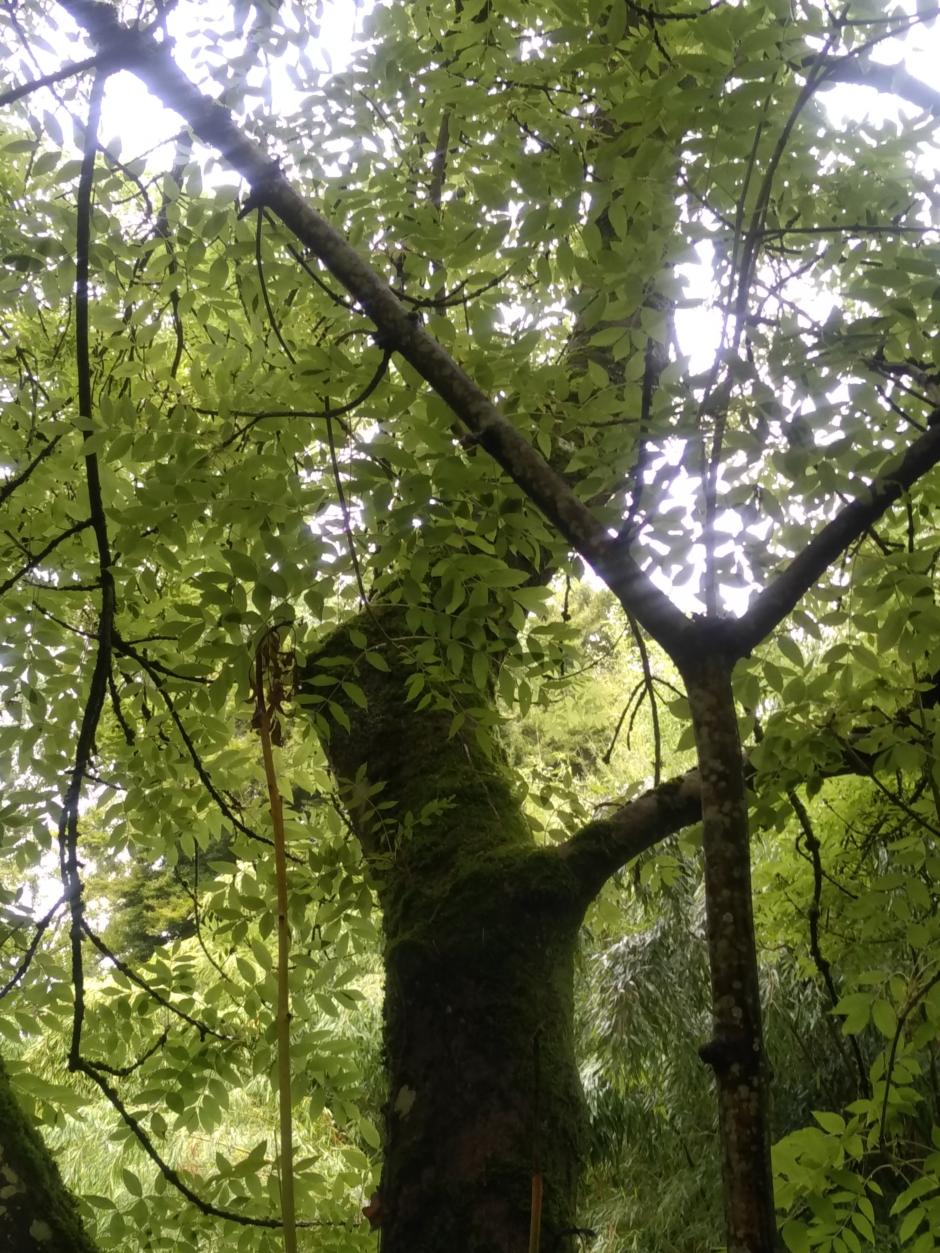 Photo n° 4 de l'avis de Céline.u fait le 28/07/2019 à 16:18