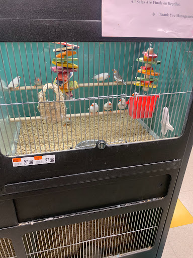 Pet Supply Store «Pet Supplies Plus», reviews and photos, 14835 Telegraph Rd, Redford Charter Twp, MI 48239, USA