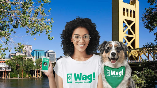 Wag! Dog Walking