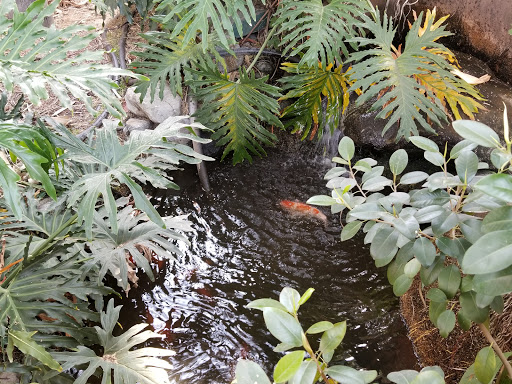 Car Wash «Fairway Garden Carwash», reviews and photos, 19834 E Walnut Dr N, Walnut, CA 91789, USA