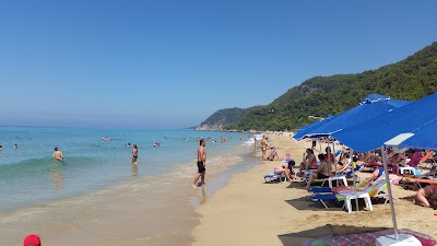 Photos of Belvedere