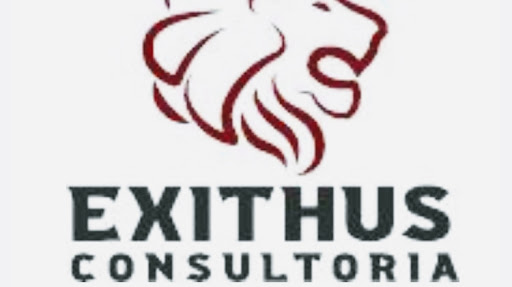 Exithus Consultoria Ltda