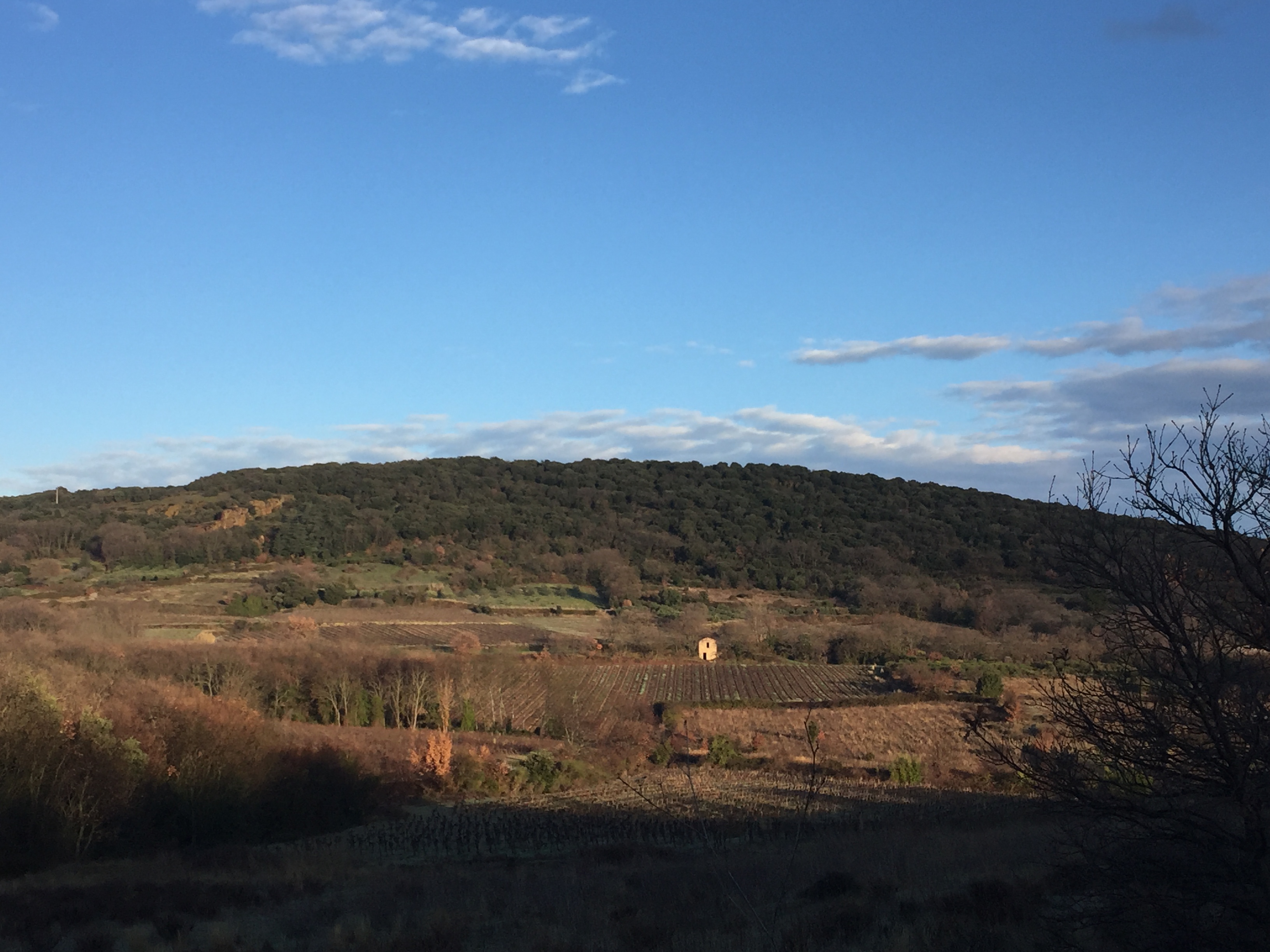 Photo n° 4 de l'avis de Molly.h fait le 26/12/2018 à 04:07