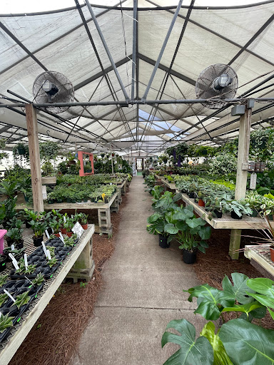 Garden Center «The Plant Place», reviews and photos, 6114 Market St, Wilmington, NC 28405, USA