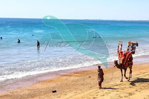 Turtle Beach Karachik9x image