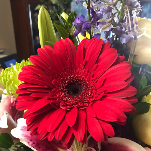 Florist «Keller Florist», reviews and photos, 901 Keller Pkwy E, Keller, TX 76248, USA