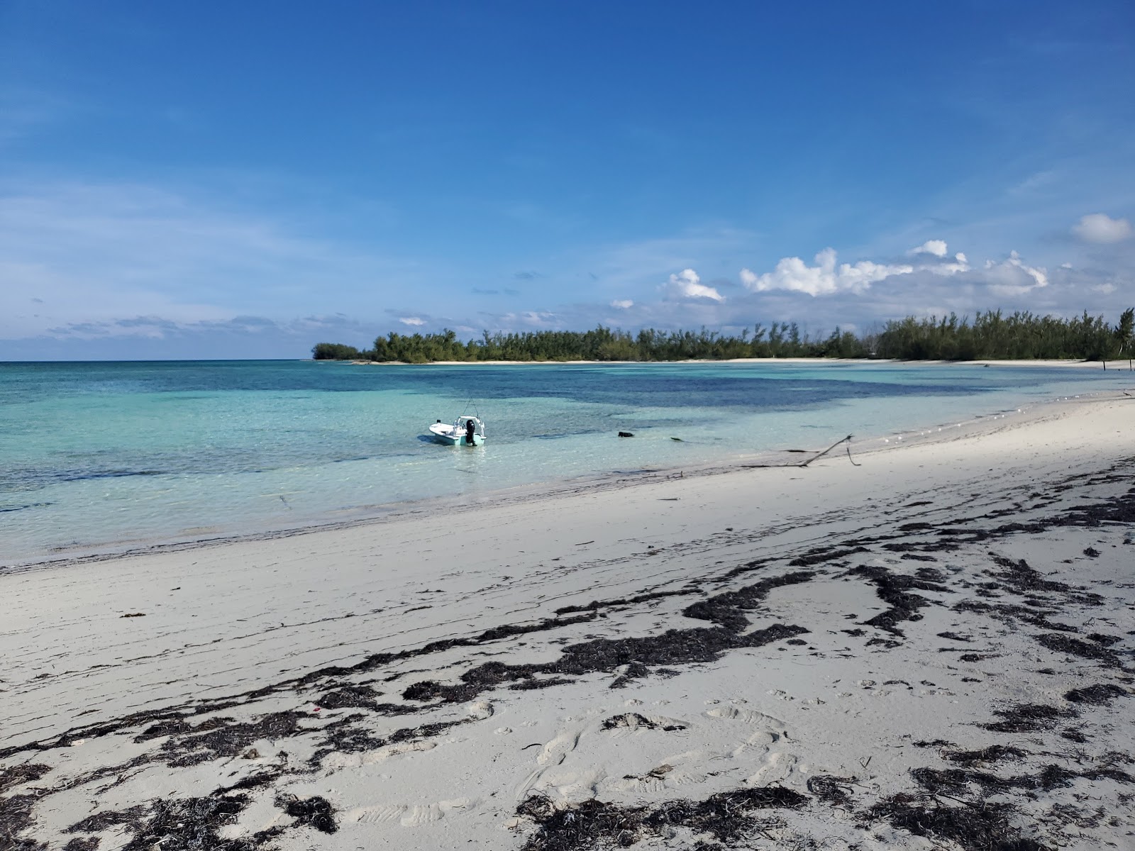 Photo de Morgan's Bluff beach - endroit populaire parmi les connaisseurs de la détente