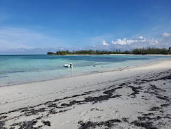 Photo de Morgan's Bluff beach - endroit populaire parmi les connaisseurs de la détente