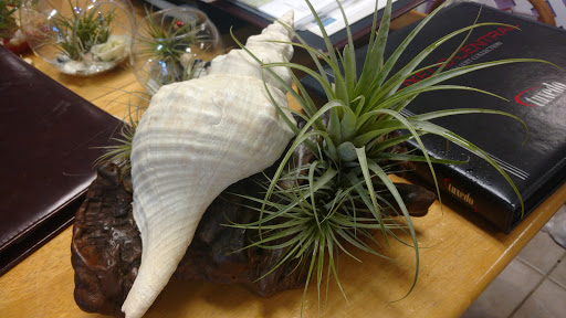 Florist «Awesome Blossoms Design», reviews and photos, 158 E Merritt Island Causeway, Merritt Island, FL 32952, USA