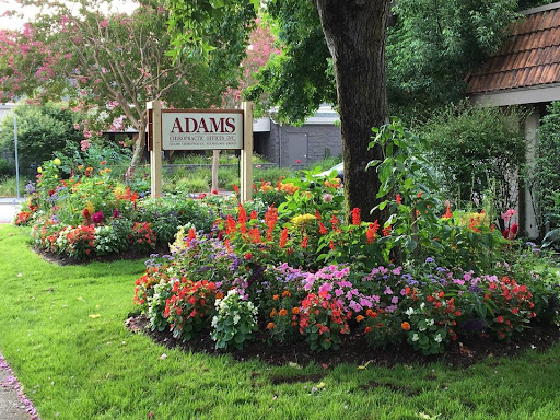 Adams Chiropractic Neurology Group image