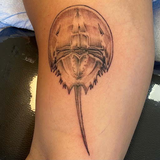 Explore cubs tattoo ideas, creative tattoo ideas in Fort Collins, available at Meadowlark Tattoo