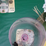 Photo n°1 de l'avis de Carina.u fait le 21/07/2020 à 17:56 sur le  Don Camillo à Worms