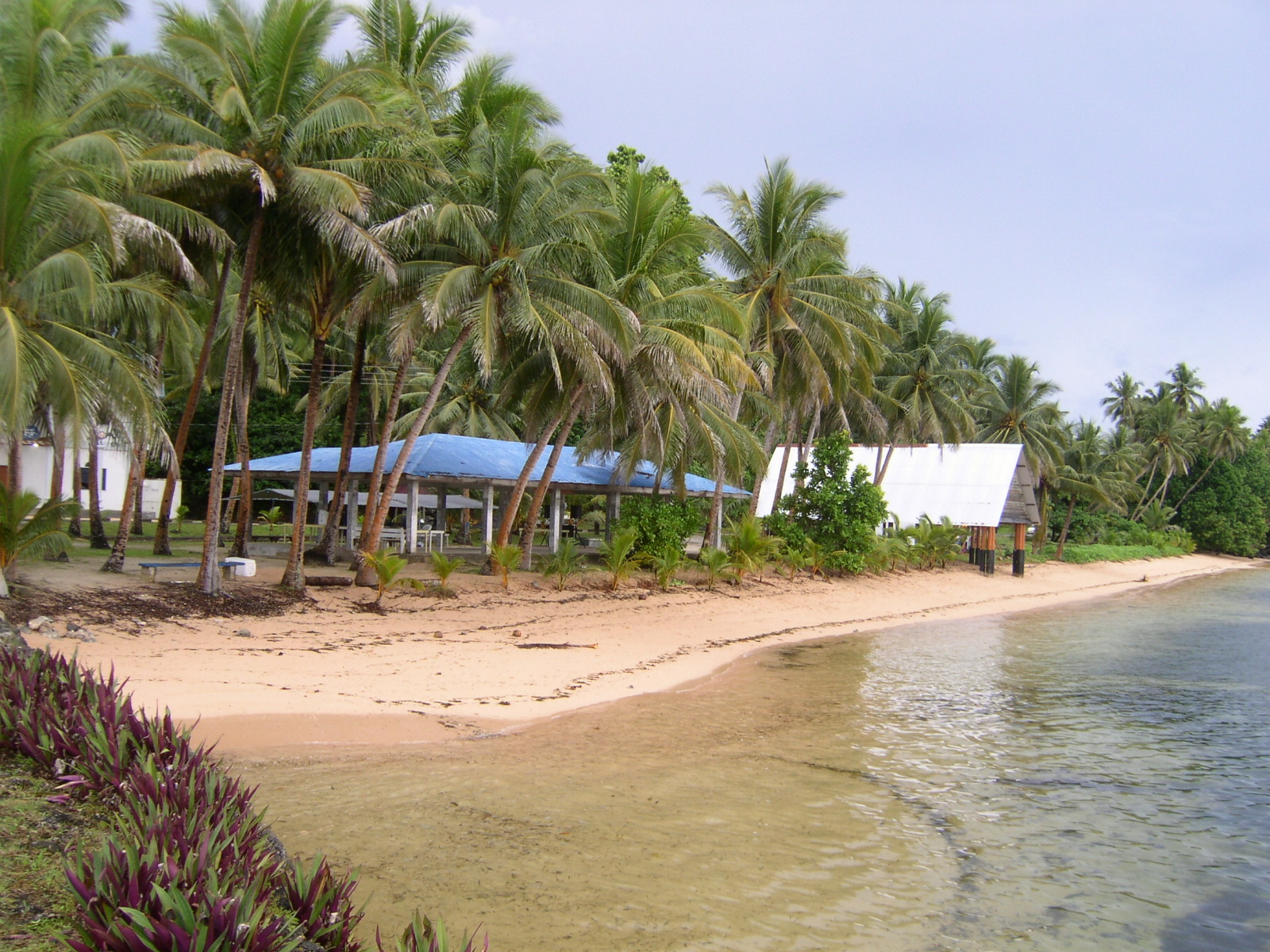 Palau East Beach'in fotoğrafı doğal alan içinde bulunmaktadır