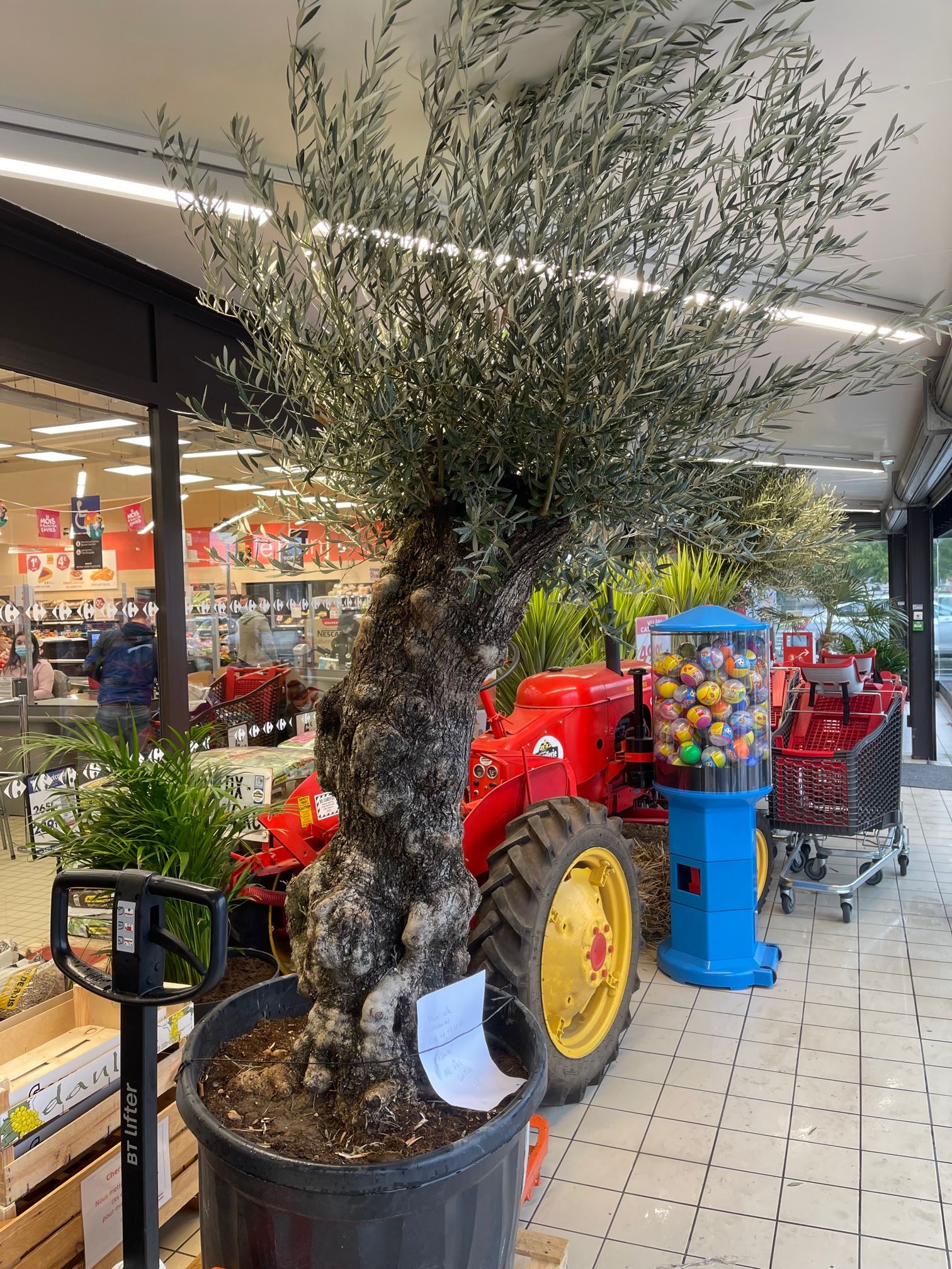 Photo n° 2 de l'avis de Gregoire.o fait le 29/10/2021 à 10:01