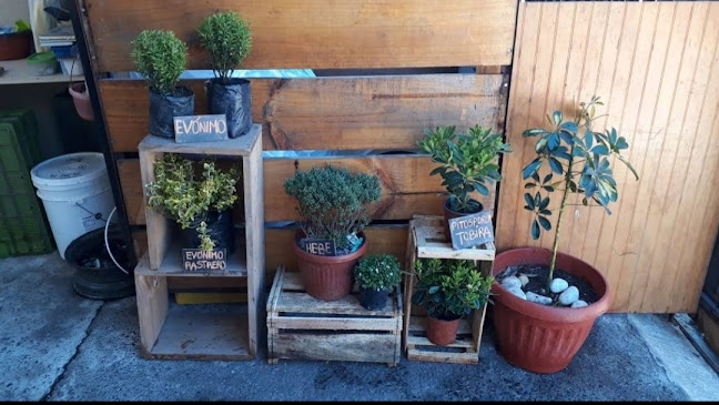 Comentarii opinii despre El jardin de Flores