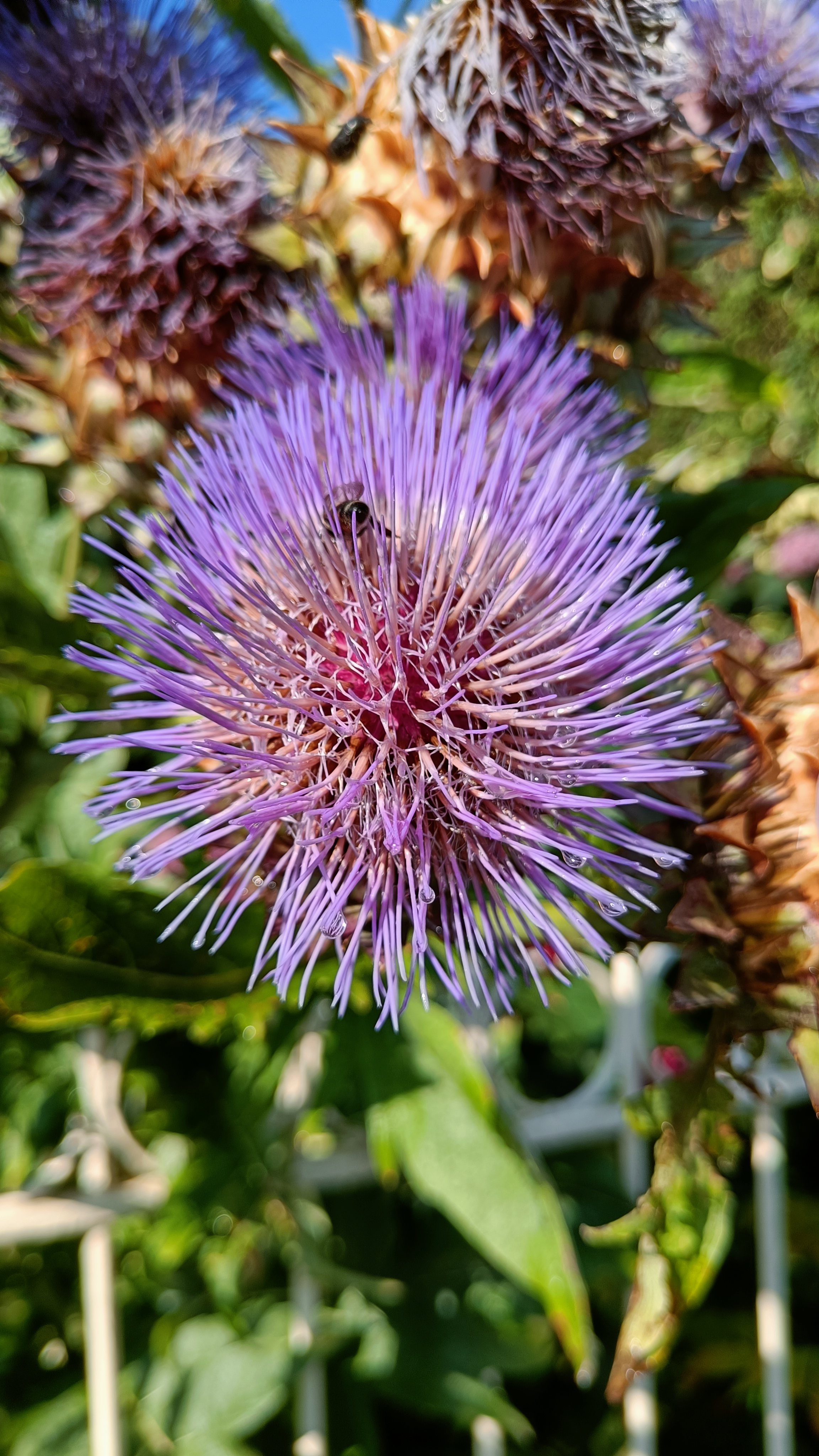 Photo n° 22 de l'avis de Eliot.o fait le 28/07/2023 à 16:35