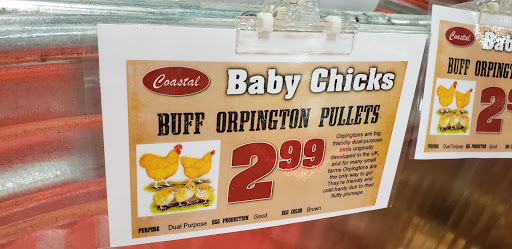 Department Store «Coastal Farm & Ranch», reviews and photos, 1550 Mt Hood Ave, Woodburn, OR 97071, USA